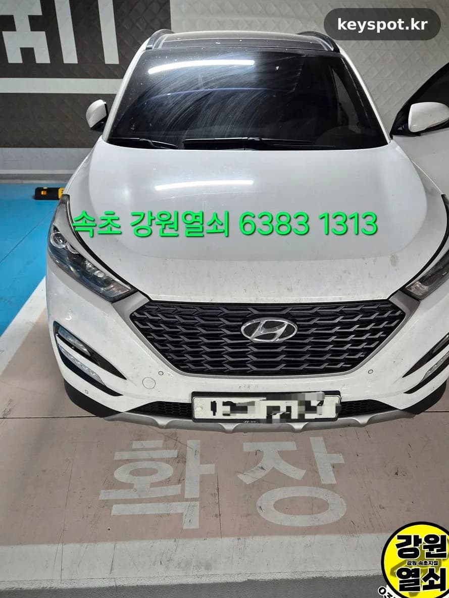 리센오션파크 투싼 스마트키 분실, VIN조회로 제작