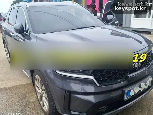 쏘렌토 스마트키 바다서 분실, 현장서 새로 등록