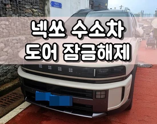 넥쏘 스마트키는 반응하는데 문이 안 열린 사연